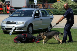 policyjny piknik na Wyspie Młyńskiej