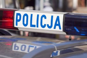 kogut policyjny z napisem policja