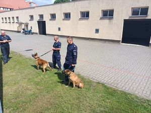 Policjanci z psami służbowymi