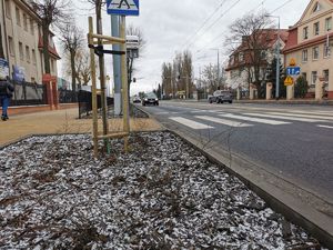 zdjęcie z rejonu przejścia dla pieszych