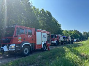 pojazdy służb na leśnej drodze