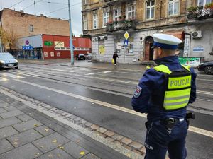 policjant stoi przy radiowozie i  nadzoruje ruch drogowy